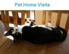 Pet Home Visits